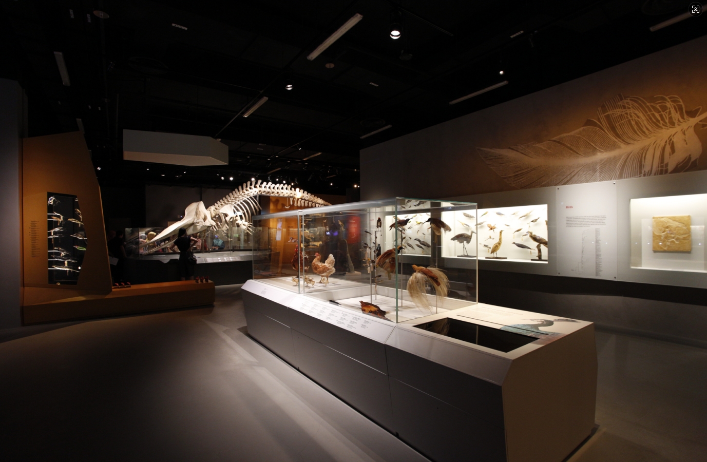 博物館敘事展覽:互動(dòng)性原則 博物館敘事展覽:互動(dòng)性原則